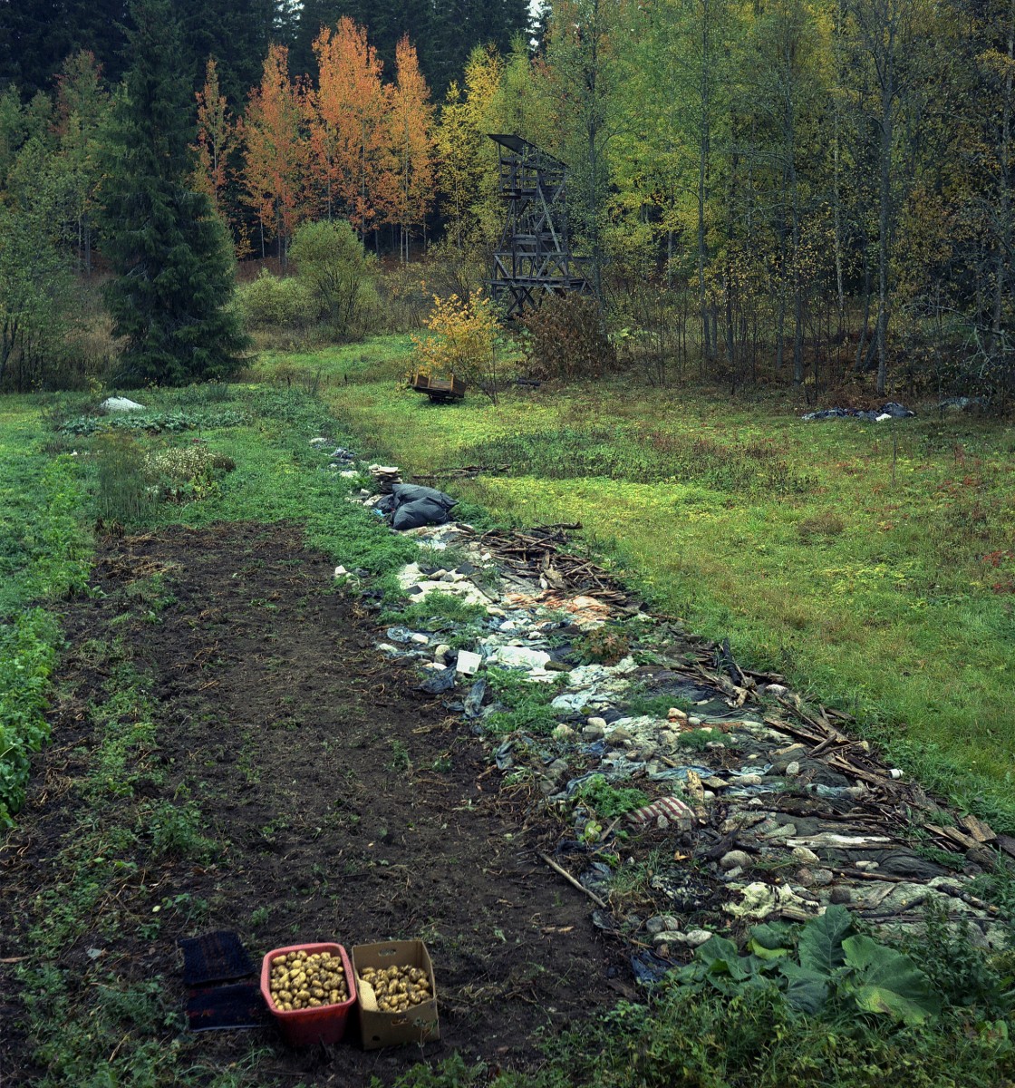 Land art-Earthworm field10