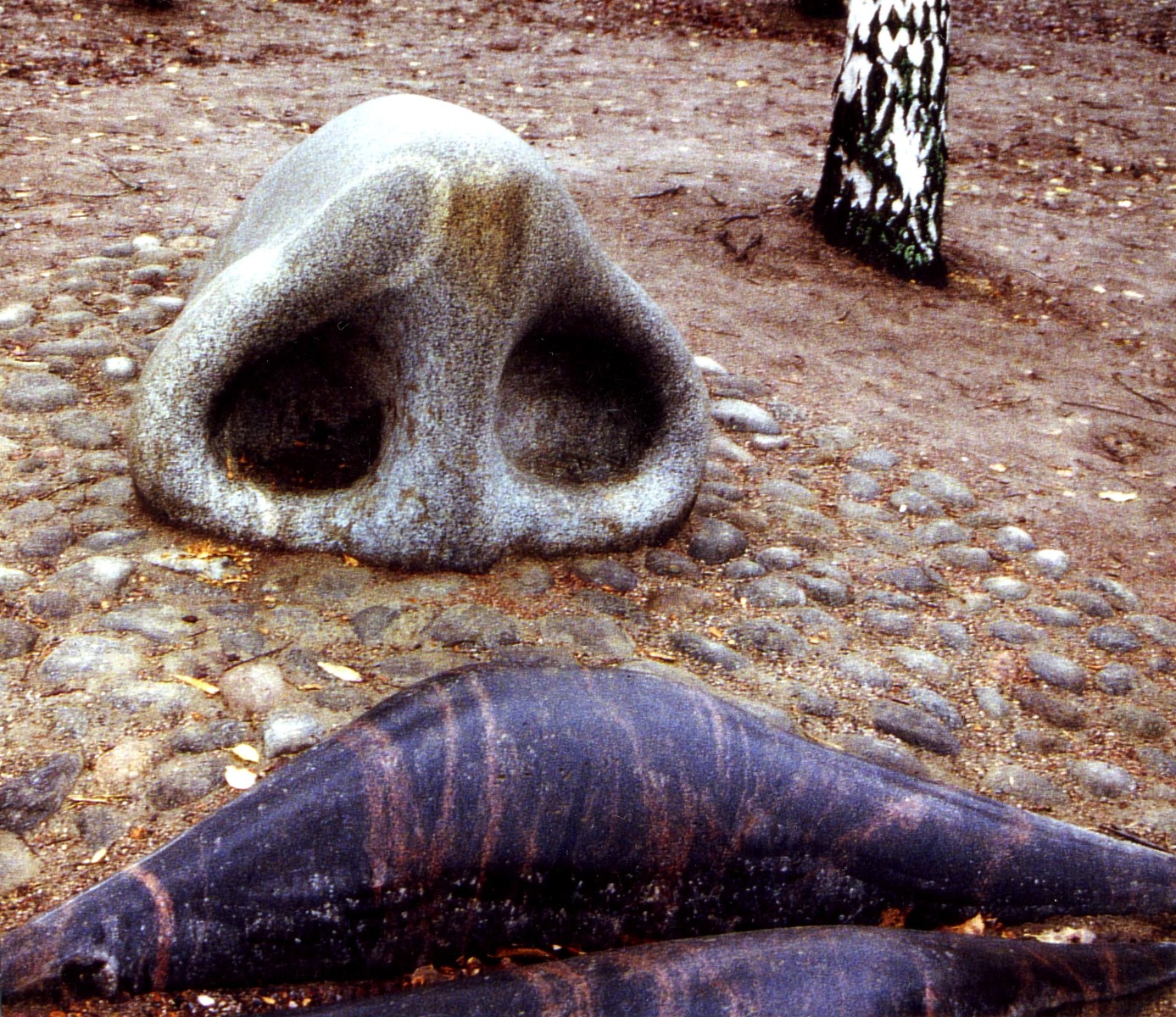 Land art-Faters nose on earth2